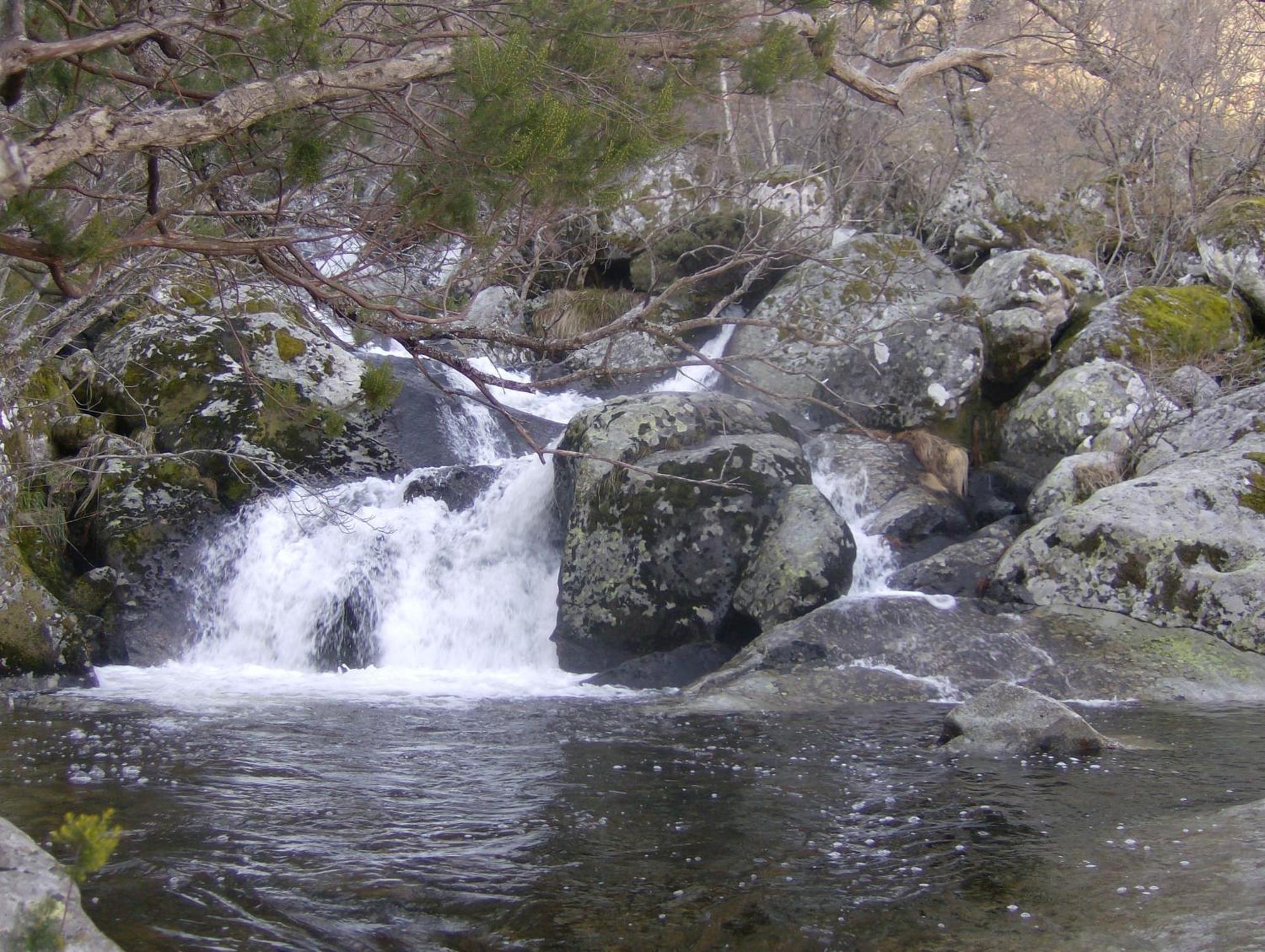 Hotel Los Perales Puebla de Sanabria Dış mekan fotoğraf